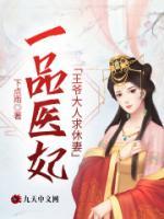 一品医妃：王爷大人求休妻