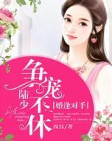 婚逢对手：陆少争宠不休