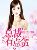 盛世闪婚：总裁有点贪