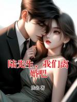 陆先生，我们离婚吧