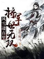 风雪凄百里，将军世无双